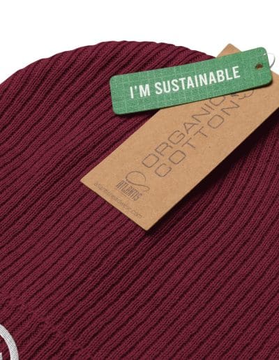 Antifa Iron Front 3 Arrows Organic Ribbed Beanie