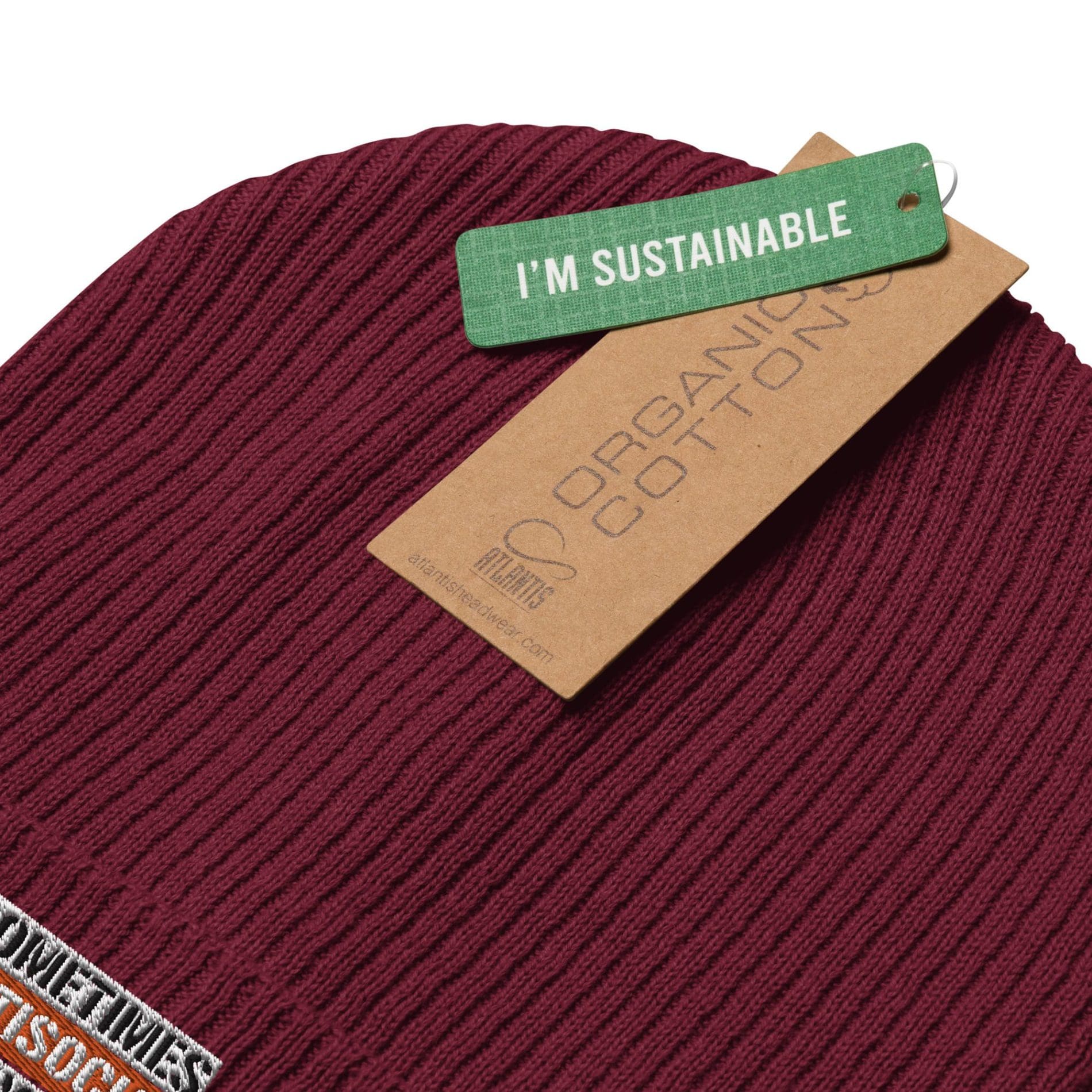 Sometimes Antisocial Always Antifascist Organic Ribbed Beanie