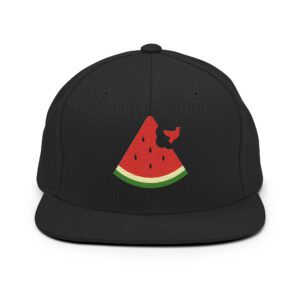 Free Palestine Watermelon Snapback Hat
