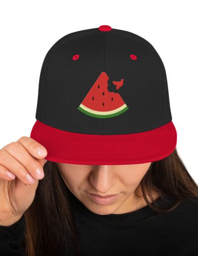 Free Palestine Watermelon Snapback Hat