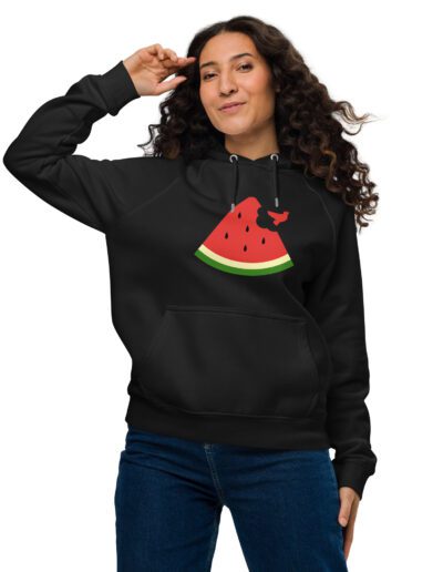 Free Palestine Watermelon Unisex Eco Raglan Hoodie