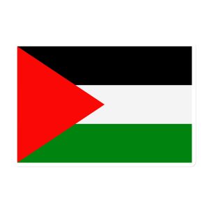 Palestine Flag Magnet