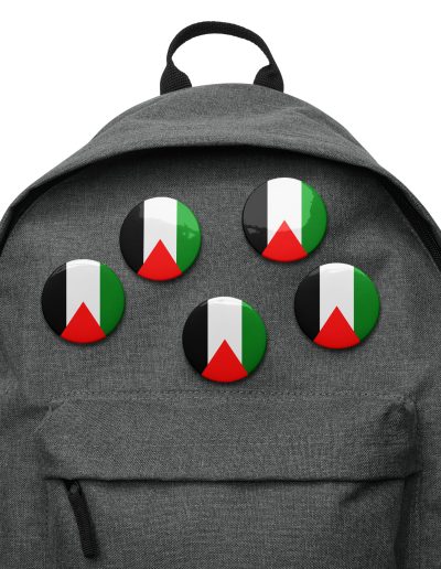 Palestine Flag Set of Pin Buttons