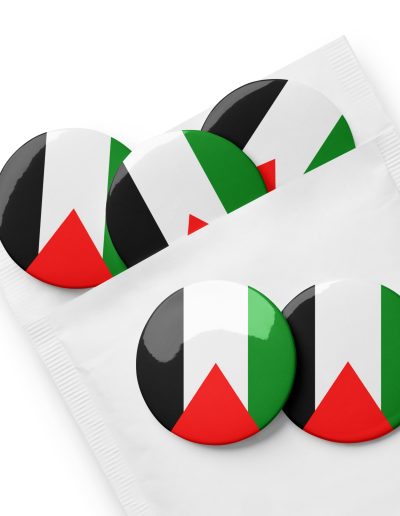 Palestine Flag Set of Pin Buttons