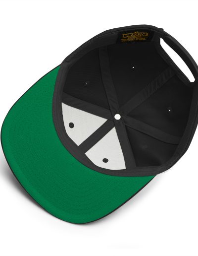 Anti-Racist Action Snapback Hat