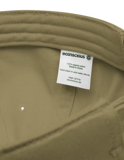 Antifascist Action Organic Dad Hat